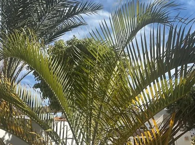 La Hubara * 칼레타데푸스테