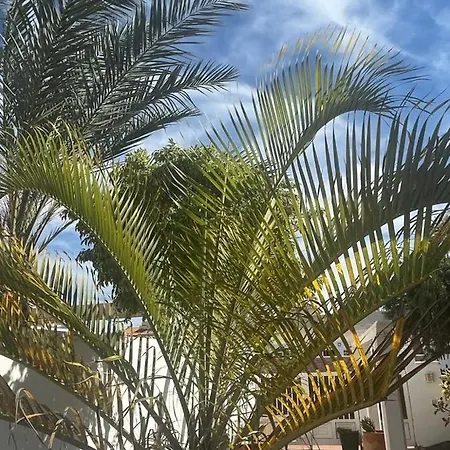 La Hubara * 칼레타데푸스테