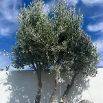 Βίλα La Hubara *